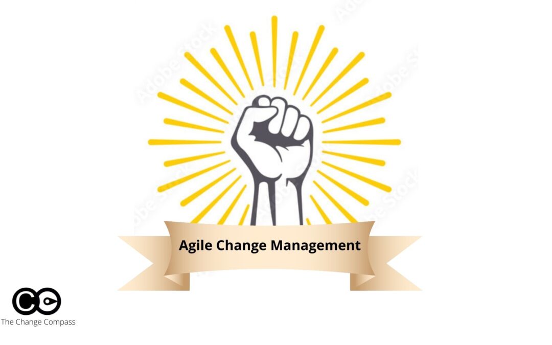 Why change management is omitted from agile methodology
