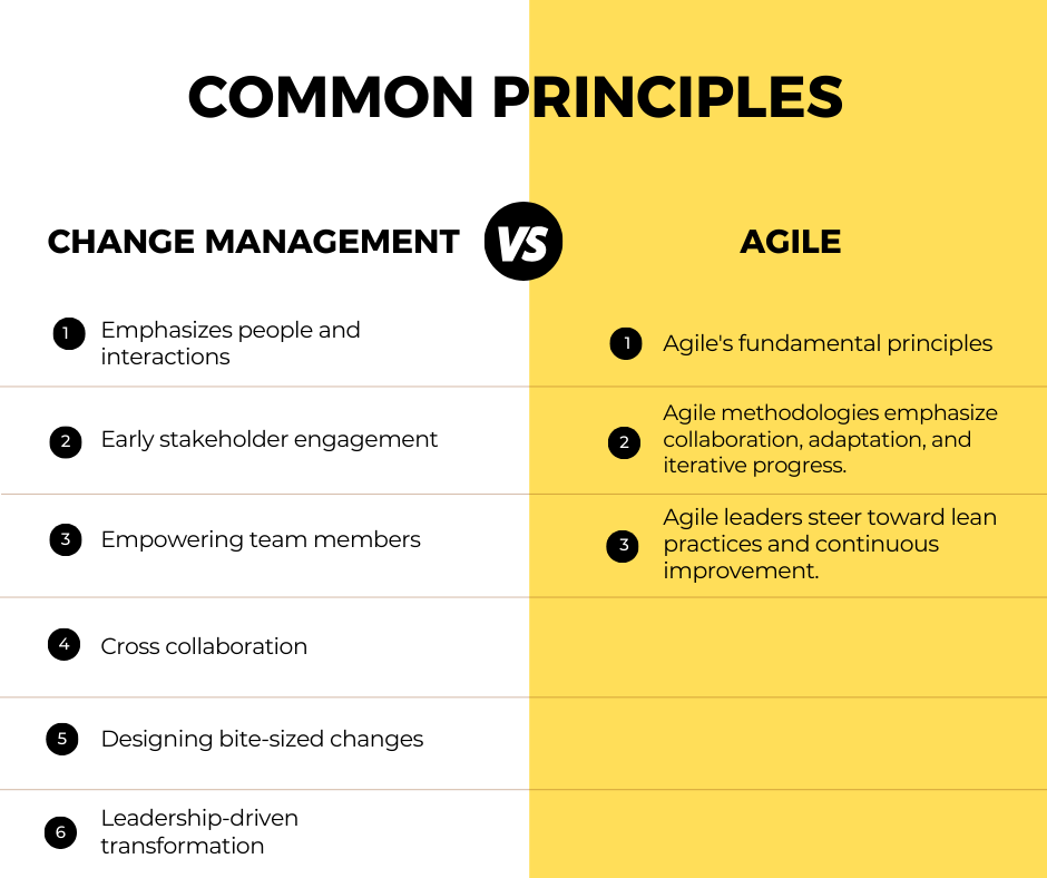 Bridging the Gap Between Agile and Change Management: Key Principles ...