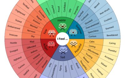 Leveraging Emotions to Drive Meaningful Organizational Change