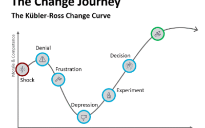 Navigating the Change Adoption Curve: Key Insights